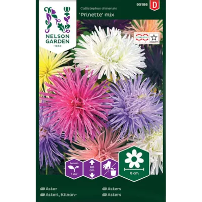 Frø asters Prinette mix
