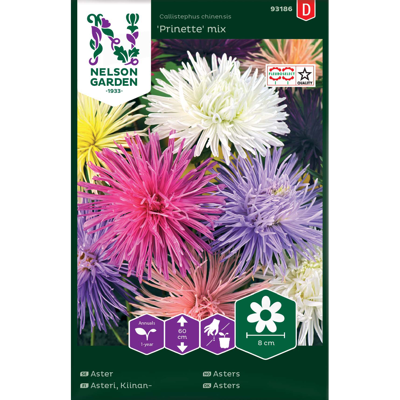 Frø asters Prinette mix