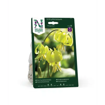 Høstløk enghundetann Pagoda