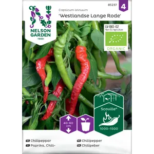 Frø chilipepper Westlandse Lange Rode økologisk