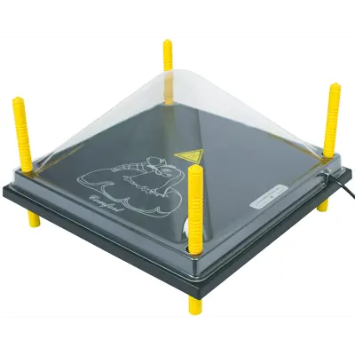 Tak til kyllingmor 40x40 cm