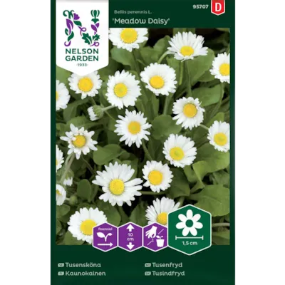 Frø tusenfryd Meadow Daisy