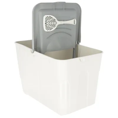 Kattedo Buxo, bilde 2