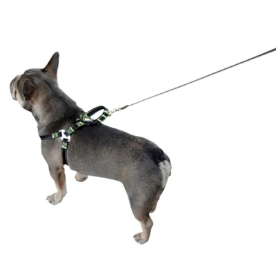 Bilsele til hund, bilde 3