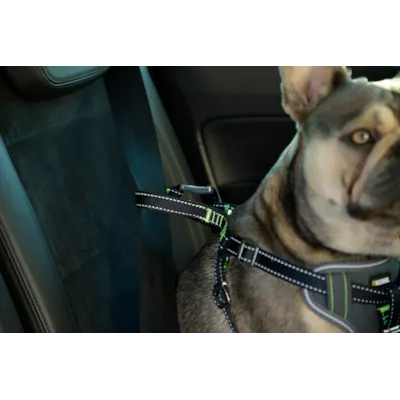 Bilsele til hund, bilde 5