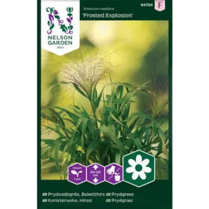 Frø prydgress Frosted Explosion