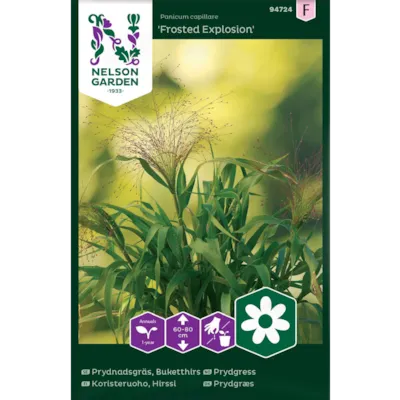 Frø prydgress Frosted Explosion