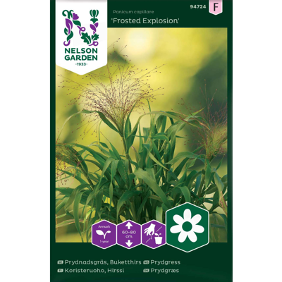 Frø prydgress Frosted Explosion