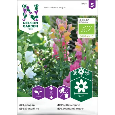 Frø prydløvemunn økologisk