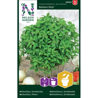 Frø basilikum småbladet Balkon Star