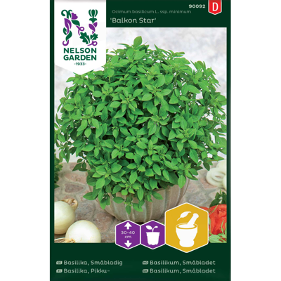 Frø basilikum småbladet Balkon Star