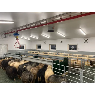 Talje 1500 kg 12 m høyde, bilde 2