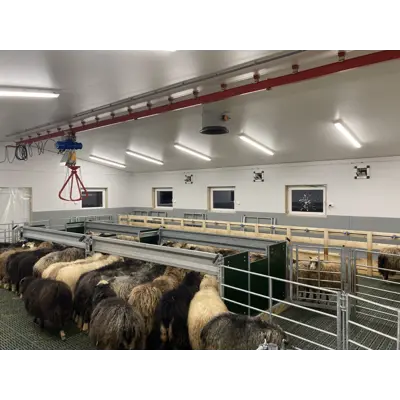 Talje 1500 kg 12 m høyde, bilde 2