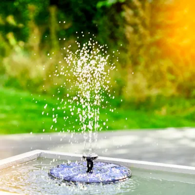 Solar vannfontene, bilde 2