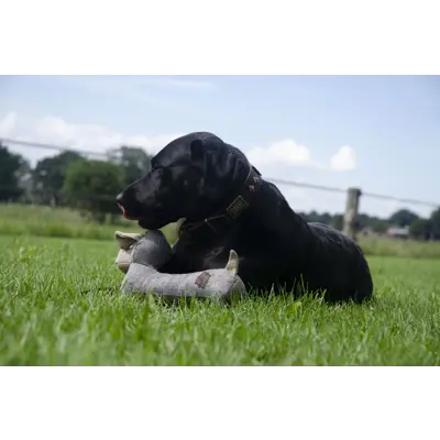 Hundeleke Lucky hund, bilde 3