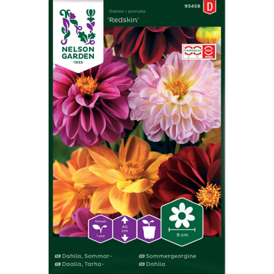 Frø sommergeorgine Redskin