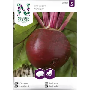 Frø rødbete Rund Solist frøbånd økologisk
