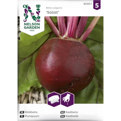 Frø rødbete Rund Solist frøbånd økologisk