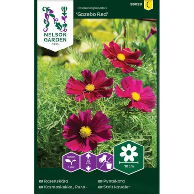 Frø pyntekorg Gazebo Red