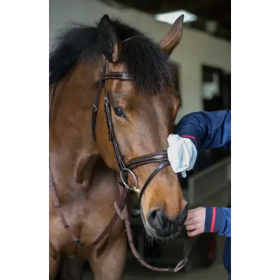 Belvoir Tack Cleaner Mitts 10 stk, bilde 4