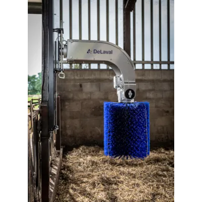 Svingende kjøttfebørste SBB, bilde 2