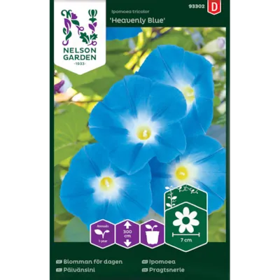 Frø ipomoea Heavenly Blue