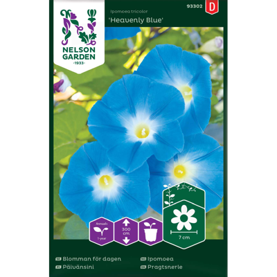 Frø ipomoea Heavenly Blue