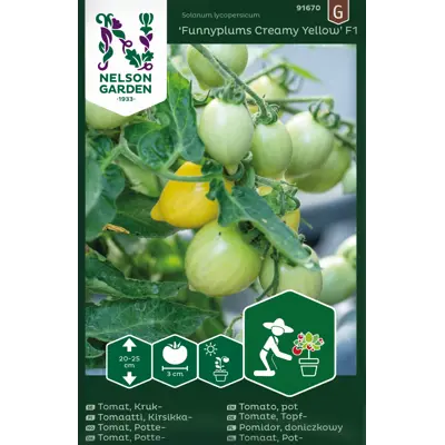 Frø cherrytomat potte Funnyplums Creamy Yellow