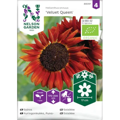 Frø solsikke Velvet Queen økologisk