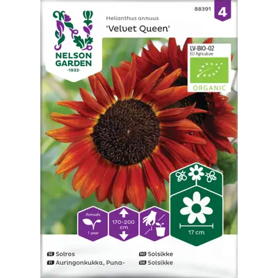 Frø solsikke Velvet Queen økologisk