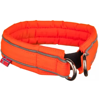 Halsbånd Safe orange, bilde 2