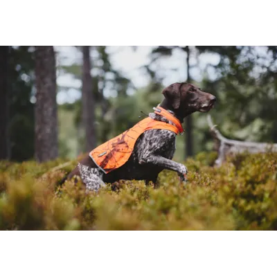 Halsbånd Safe orange, bilde 5