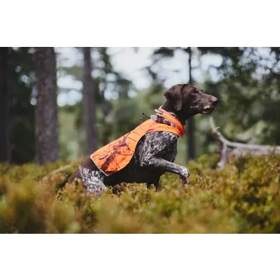 Halsbånd Safe orange, bilde 5