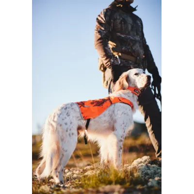 Halsbånd Safe orange, bilde 3