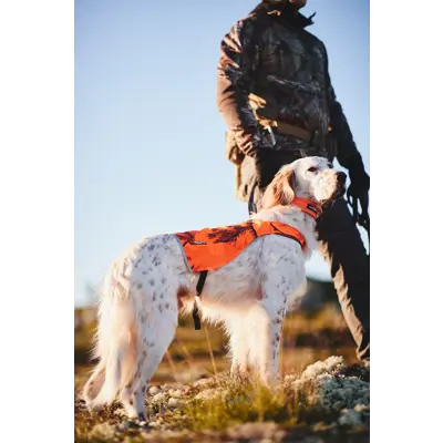 Halsbånd Safe orange, bilde 3