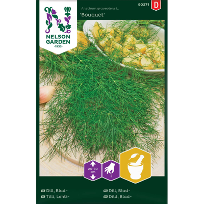 Frø bladdill Bonquet