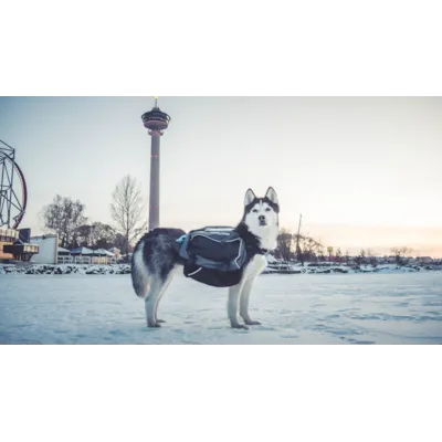 Kløv Amundsen, bilde 12