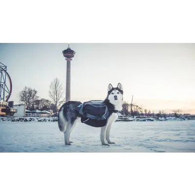 Kløv Amundsen, bilde 12