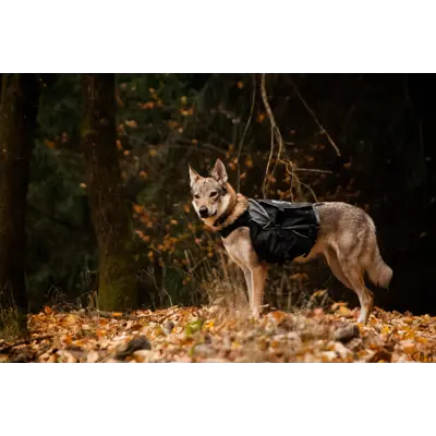 Kløv Amundsen, bilde 11