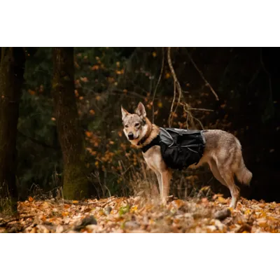 Kløv Amundsen, bilde 11