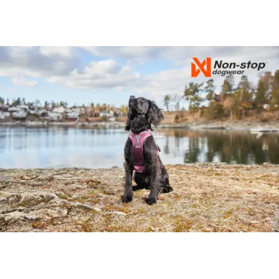 Kløv Amundsen, bilde 13