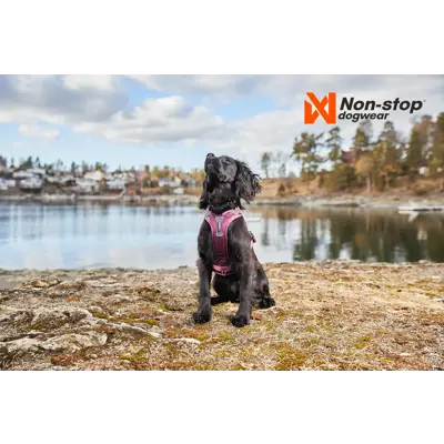 Kløv Amundsen, bilde 13