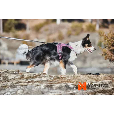 Kløv Amundsen, bilde 15