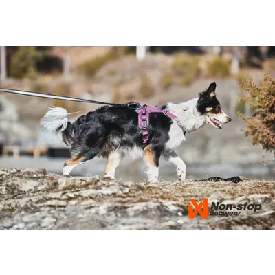 Kløv Amundsen, bilde 15