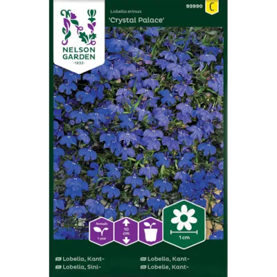 Frø kantlobelia Crystal Palace