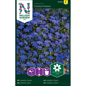 Frø kantlobelia Crystal Palace