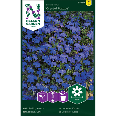 Frø kantlobelia Crystal Palace