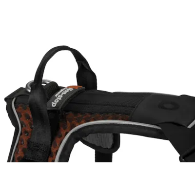 Sele Rock Harness svart, bilde 5