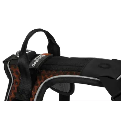 Sele Rock Harness svart, bilde 5