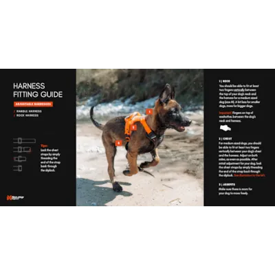 Sele Rock Harness svart, bilde 8